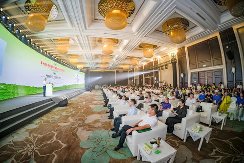 2024四川自貢榮縣國際陶茶文化藝術活動周開幕，共促文化交流與產業發展