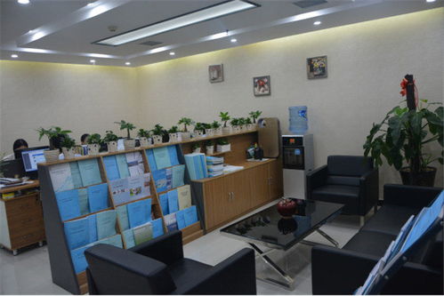 高碑店市農村廁所改造工程標書編制與工程咨詢服務方案